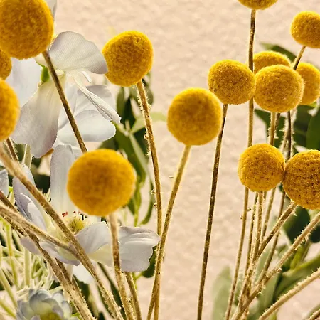 Ferienstube Alte Teestube Apartament Norderney